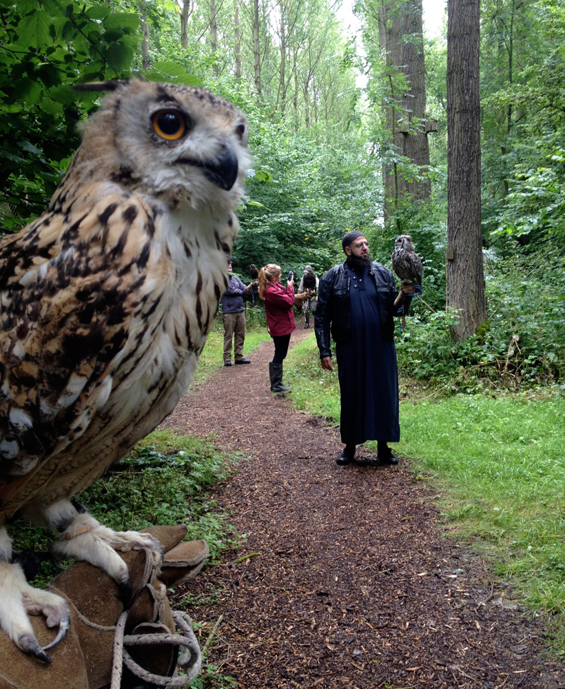 2014 06 28 rutland falconry hawk vs owl 38