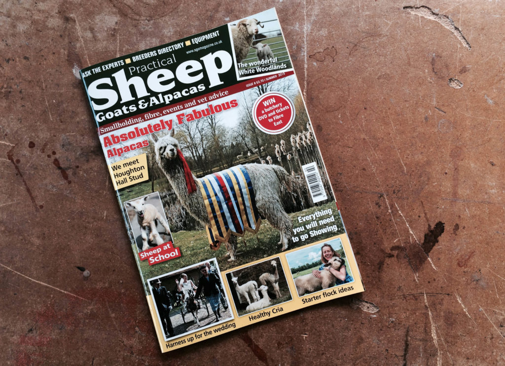 practical sheep goats and alpacas magazine cover by karen harvey